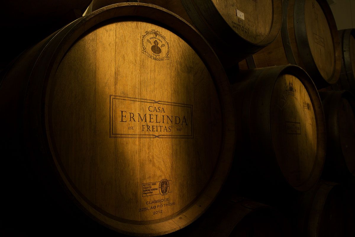 Casa Ermelinda Freitas sugere vinhos e azeite para a ceia de Natal