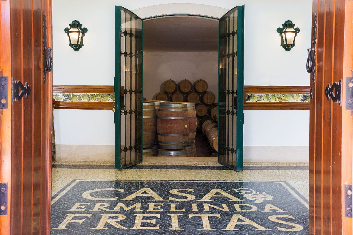 Jornal Público conta 100 anos de vinho que a pandemia não travou