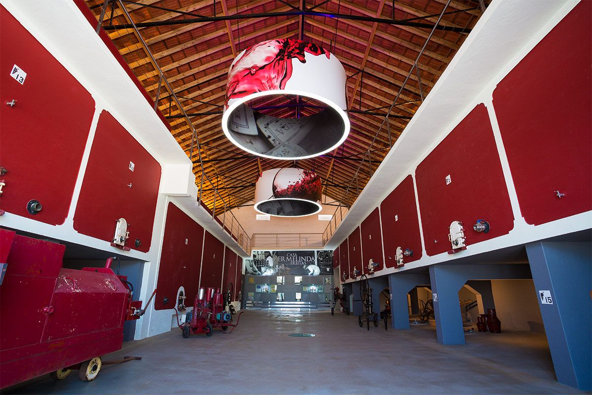 Jornal Público conta 100 anos de vinho que a pandemia não travou