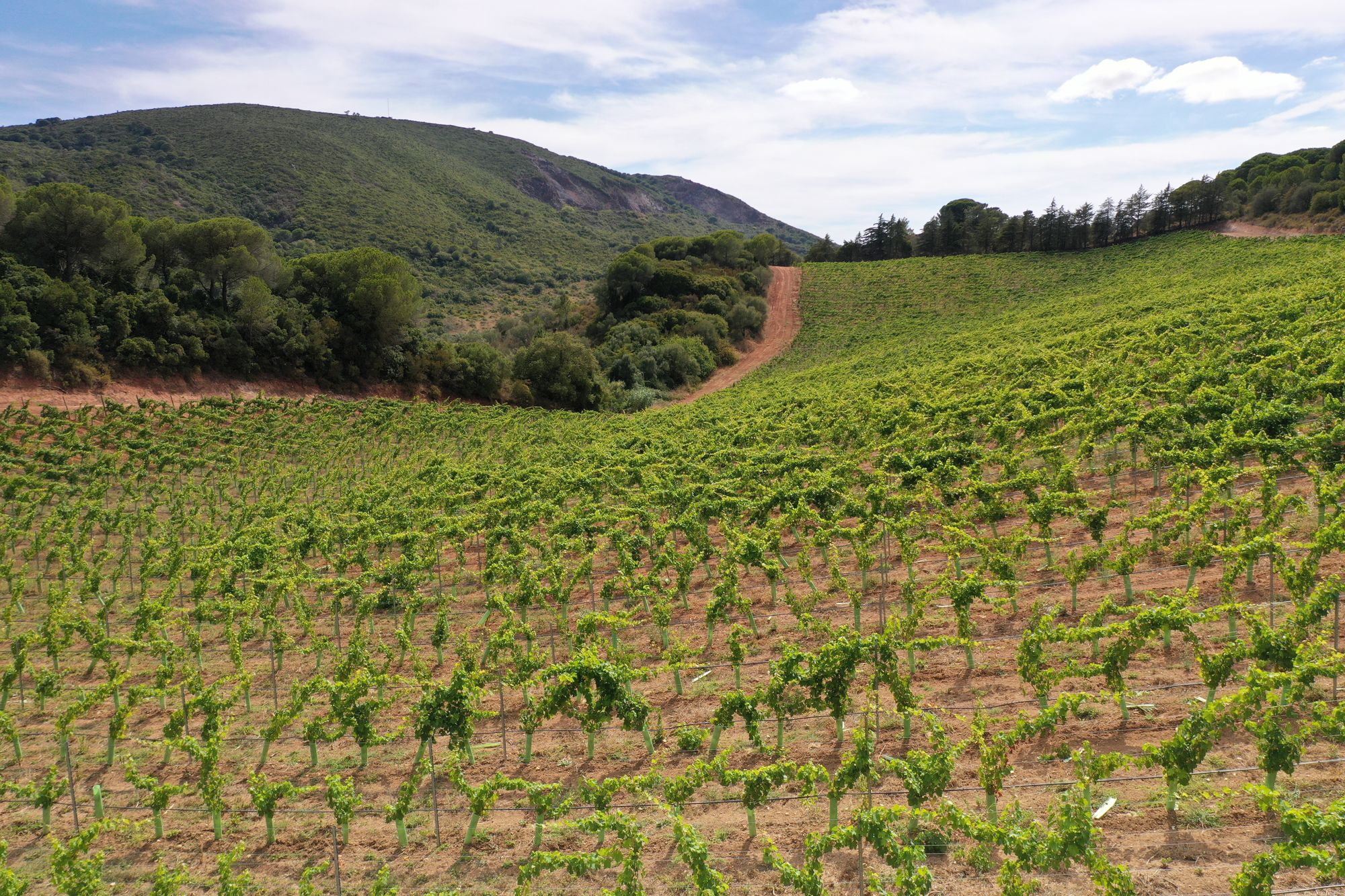 Mar, serra e vinhos de excelência