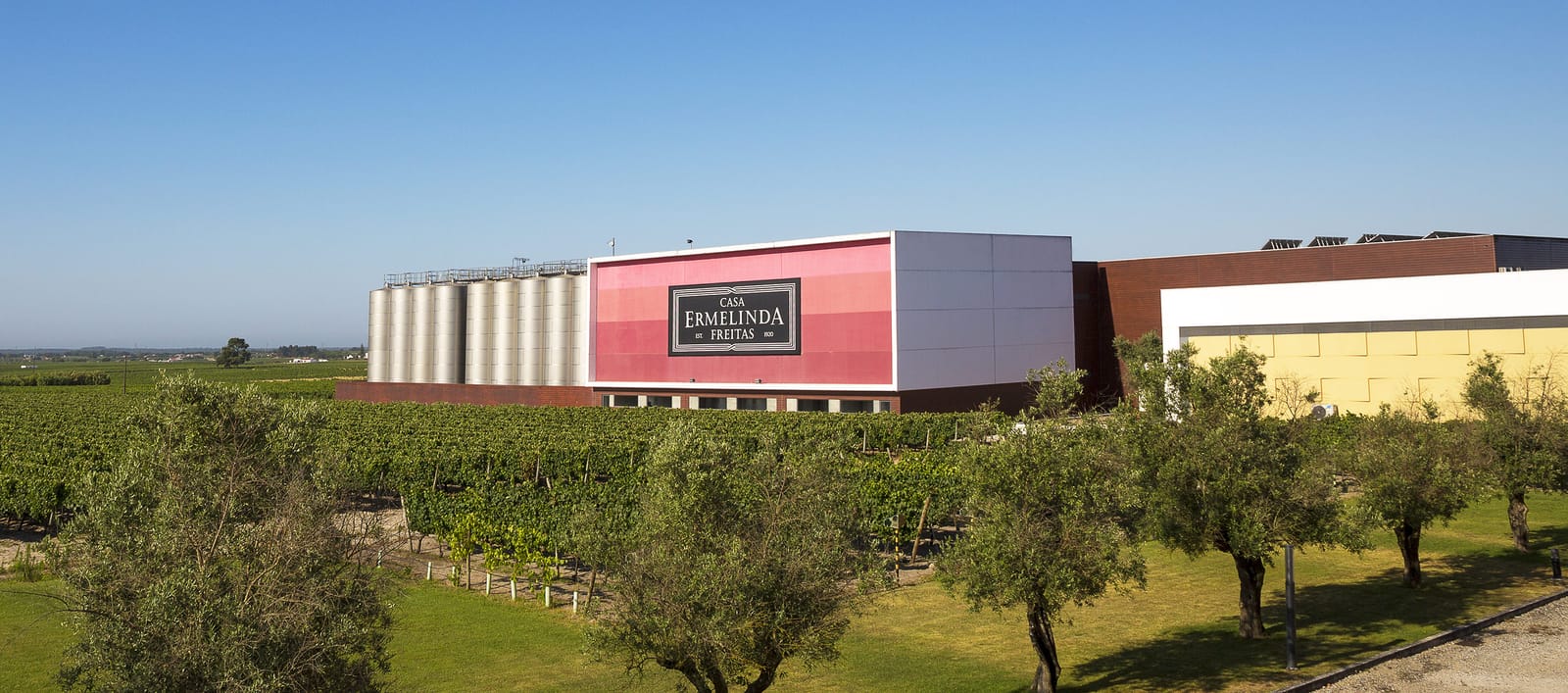 Casa Ermelinda Freitas sugere vinhos e azeite para a ceia de Natal