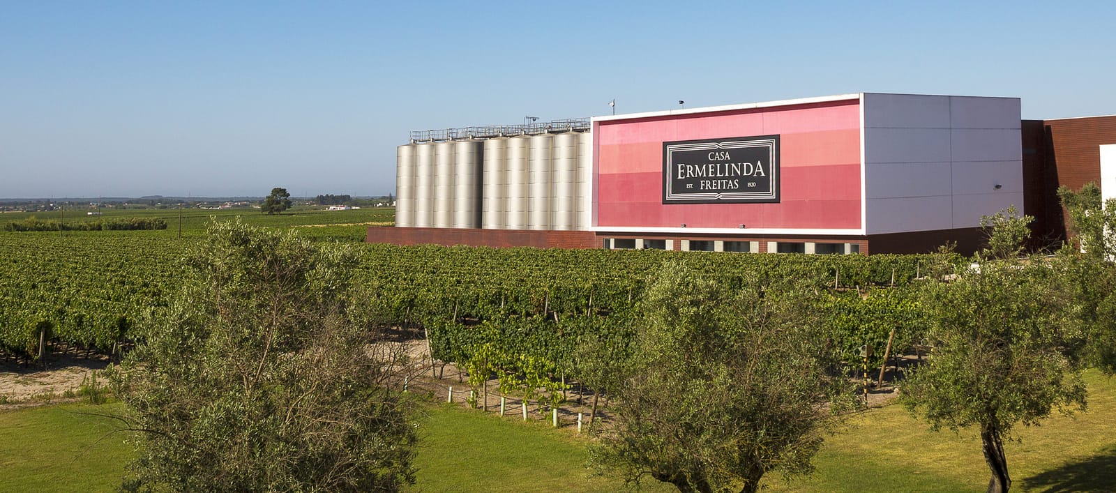 Casa Ermelinda Freitas: Sucesso feito com Amor, conta a Travel Tomorrow